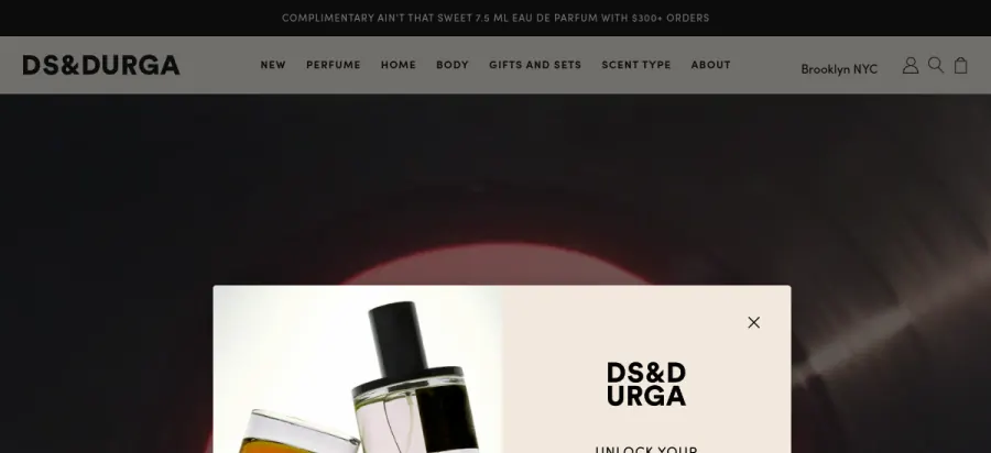 D.S. & Durga website preview